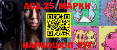 гашик Будённовск