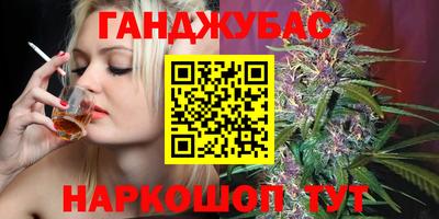 гашик Будённовск